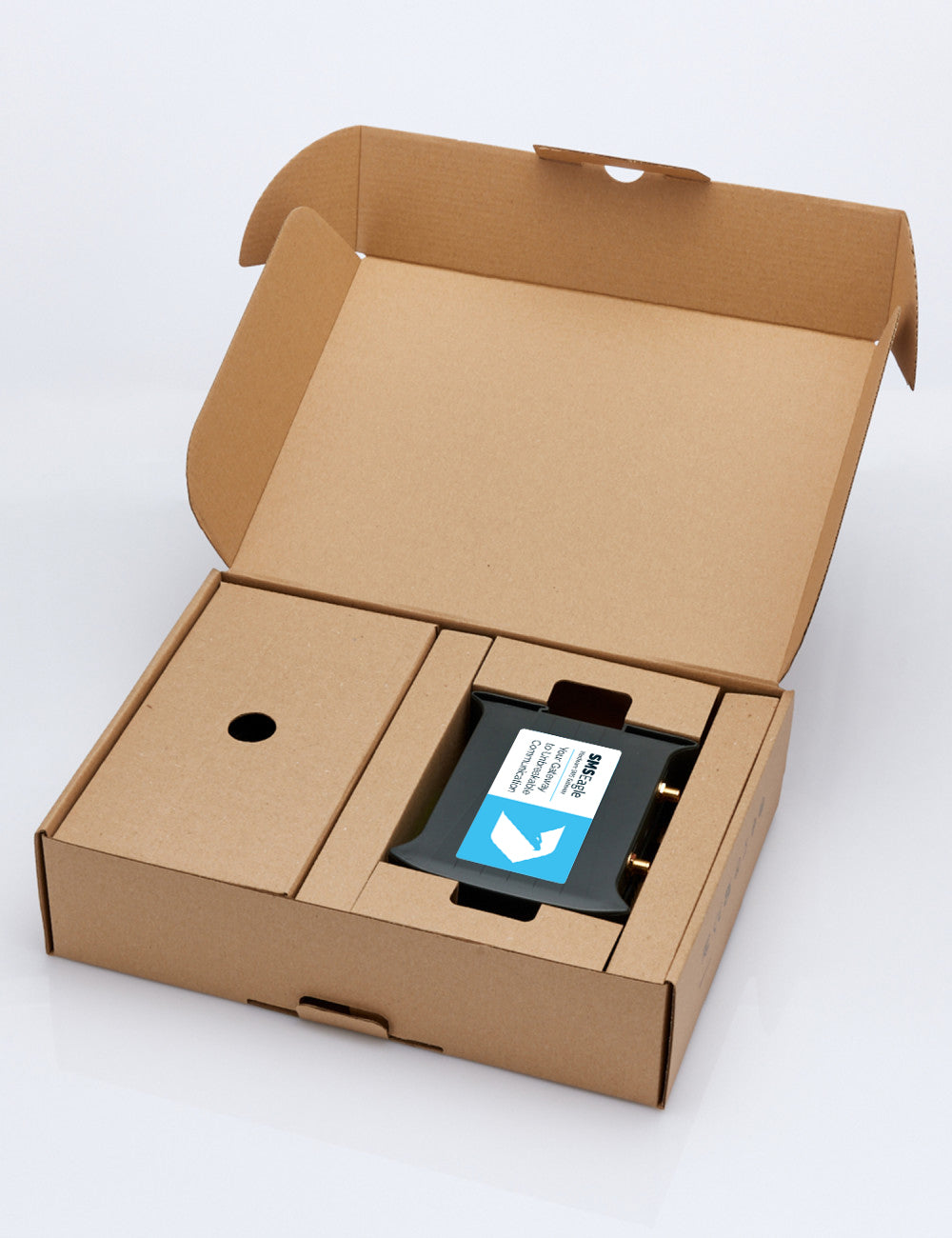 SMSEagle NXS-9750 4G (dual modem)